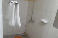 SAM_2913