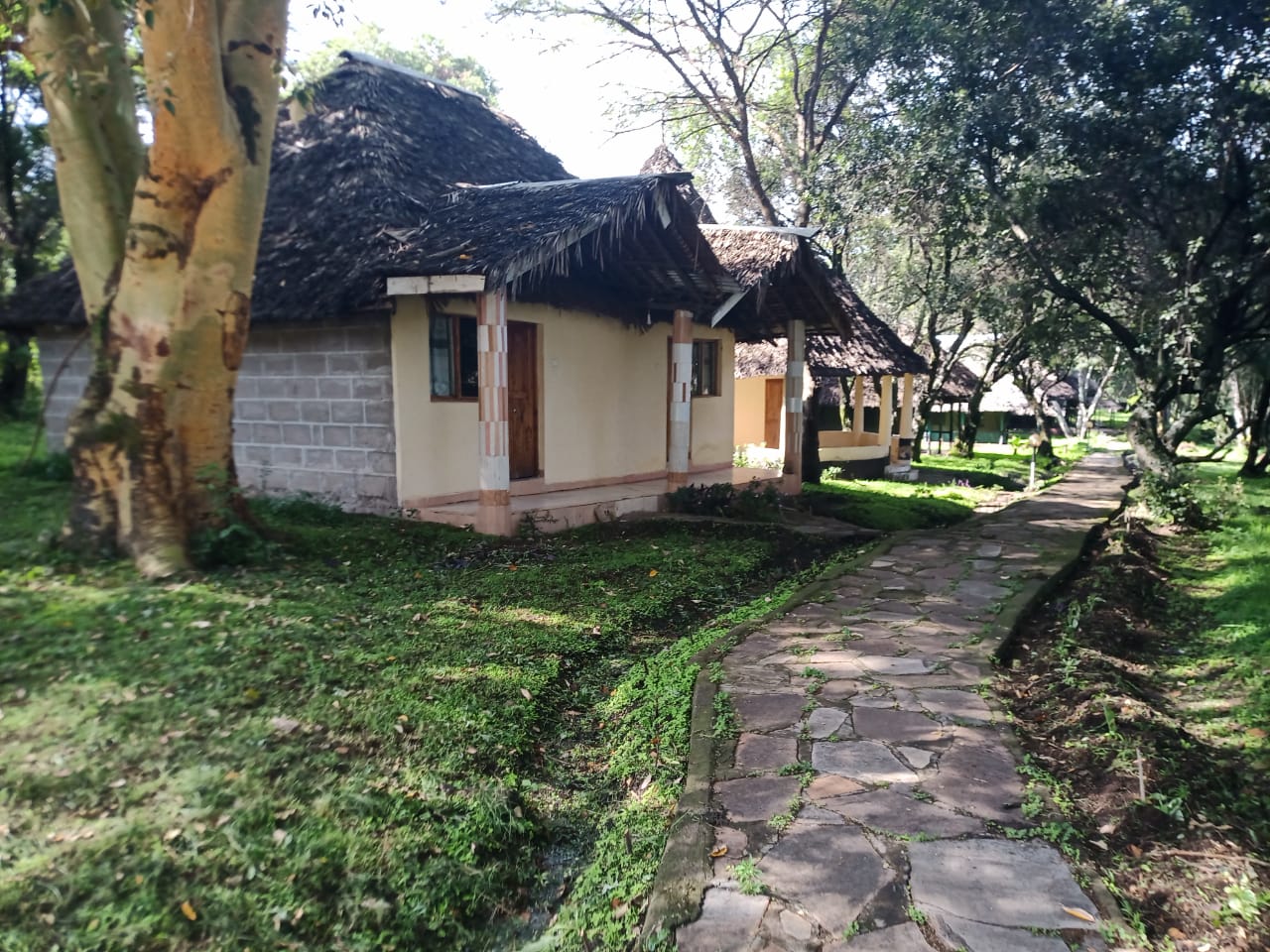 WhatsApp Image 2022-03-09 at 4.37.23 PM