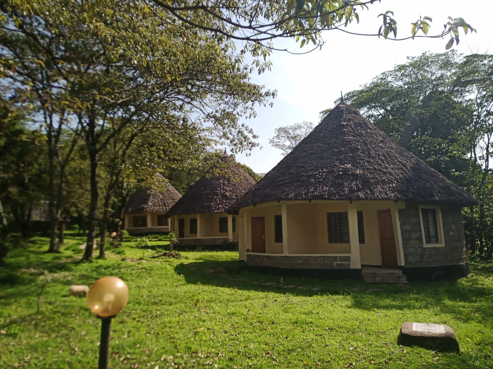 WhatsApp Image 2022-03-09 at 4.37.24 PM (1)