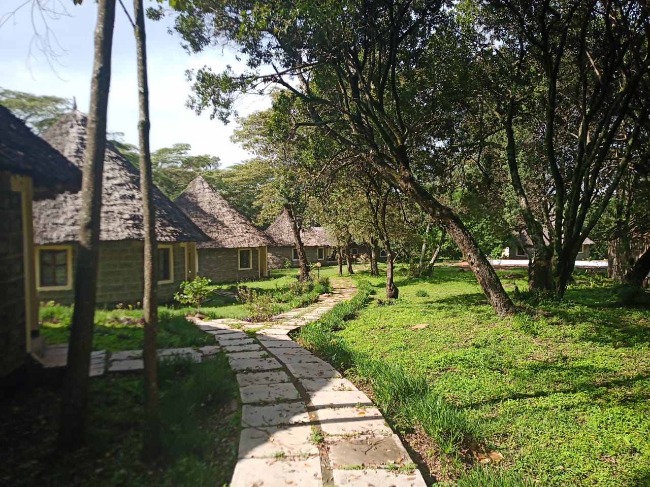 WhatsApp Image 2022-03-09 at 4.37.24 PM